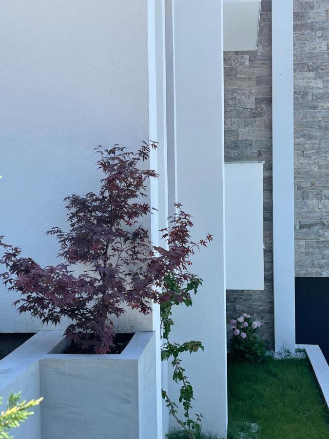 Villa Pine บาร์ ภายนอก รูปภาพ
